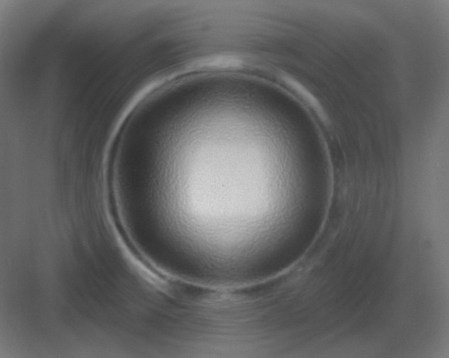 X0000083021475200702091304