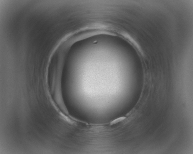 X0000083021477200702091304
