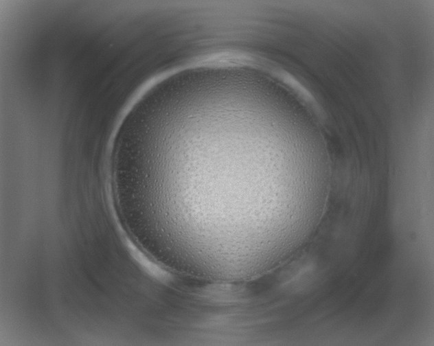 X0000083021478200702091304