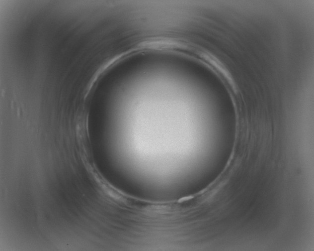 X0000083021481200702091304