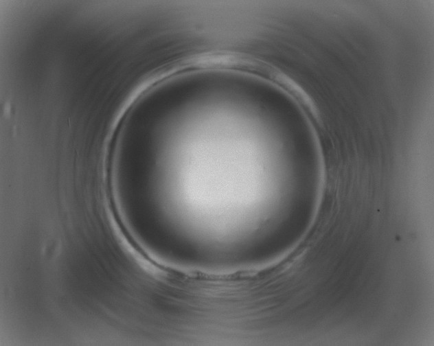 X0000083021483200702091304