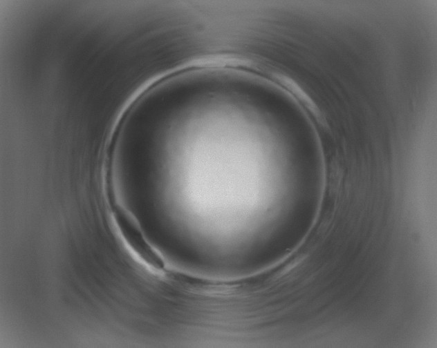 X0000083021484200702091304