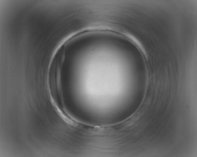 X0000083021485200702091304