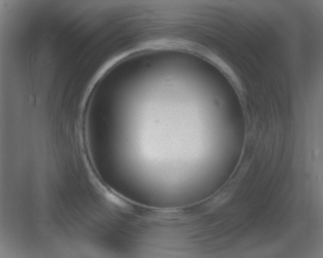 X0000083021486200702091304
