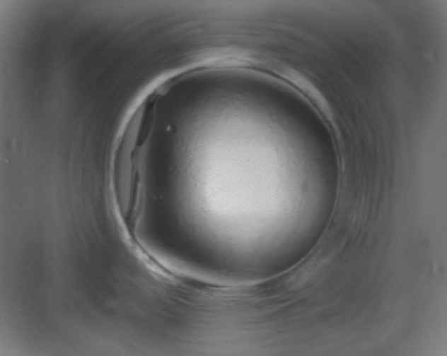 X0000083021488200702091304