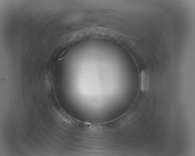 X0000083021491200702091303
