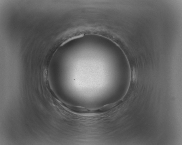X0000083021492200702091303