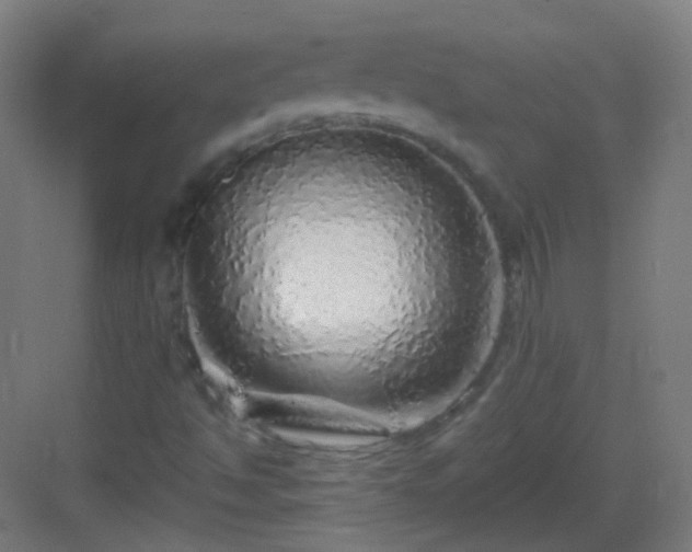 X0000083021494200702091303