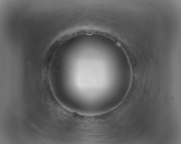 X0000083021495200702091303