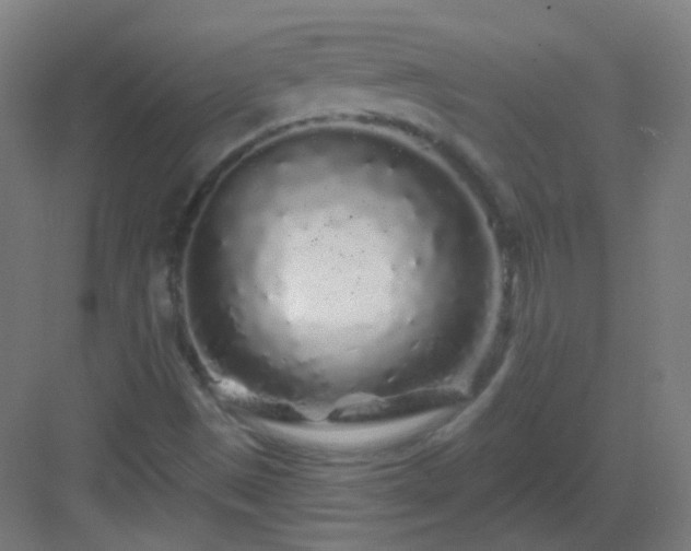 X0000083021497200702091303
