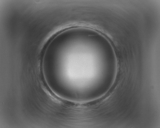X0000083021503200702091303