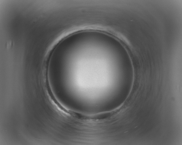 X0000083021504200702091303
