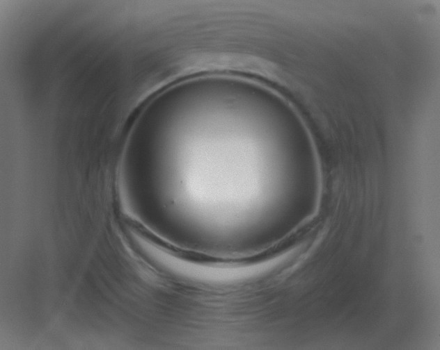 X0000083021505200702091303