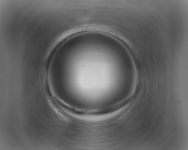 X0000083021507200702091303