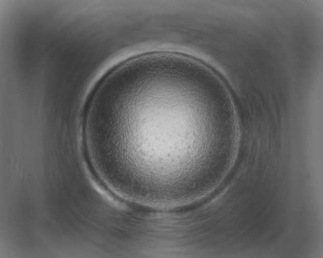 X0000083021511200702091303
