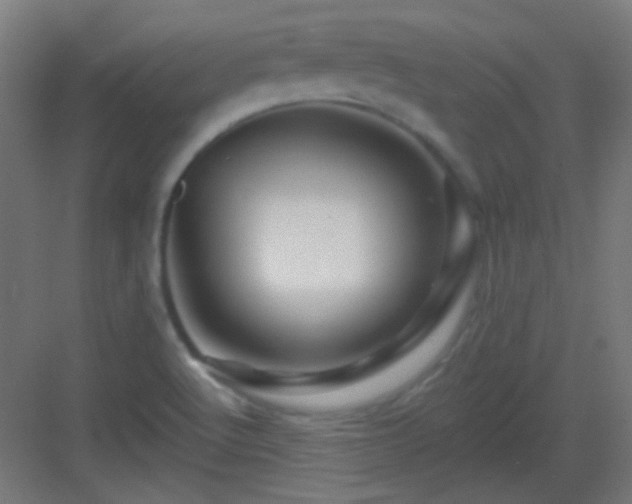 X0000083021512200702091303