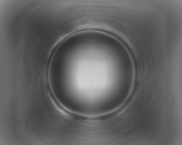 X0000083021513200702091303