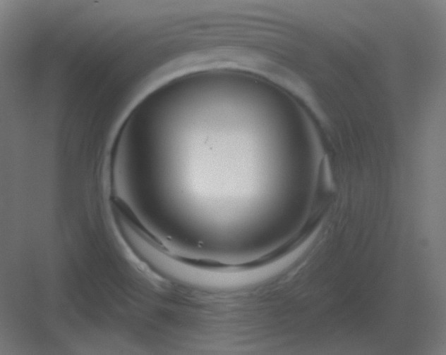 X0000083021516200702091303