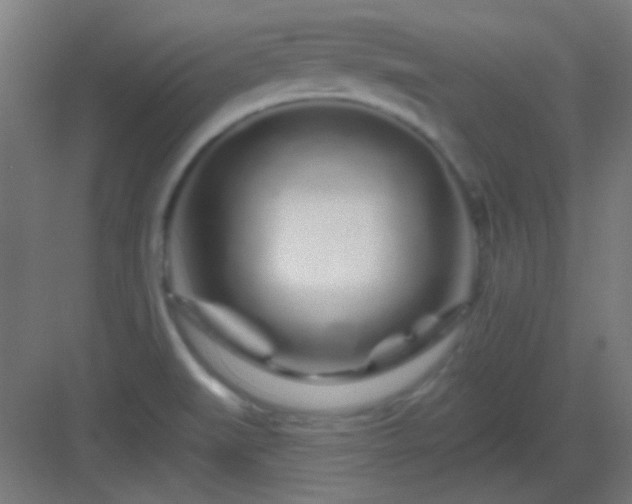 X0000083021519200702091303