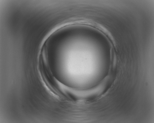 X0000083021520200702091303