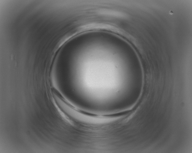 X0000083021521200702091303