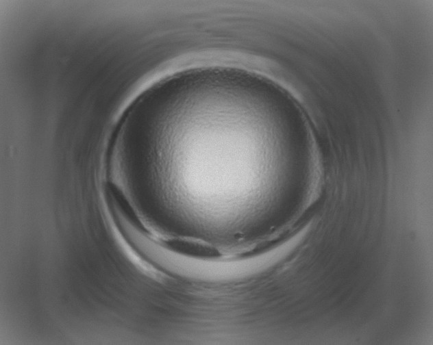 X0000083021523200702091303