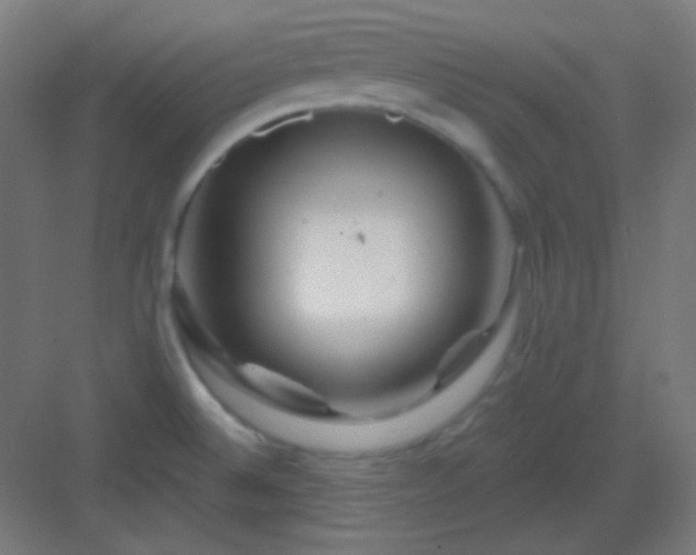 X0000083021524200702091303