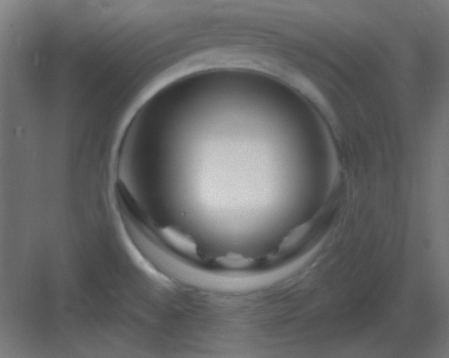 X0000083021528200702091303