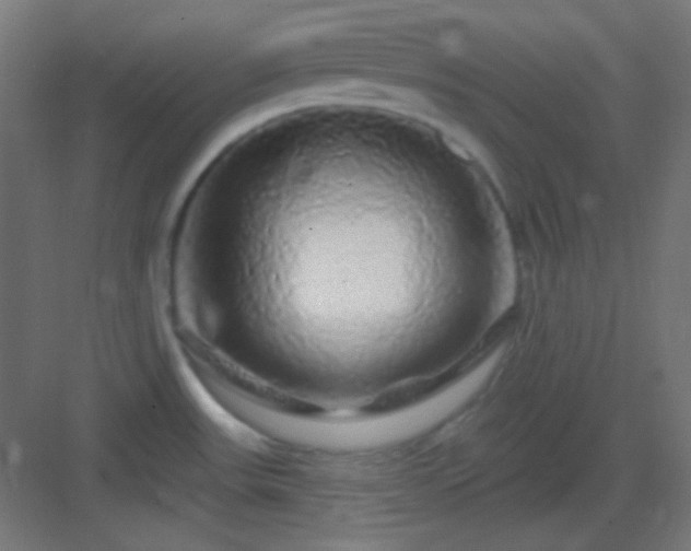 X0000083021531200702091303