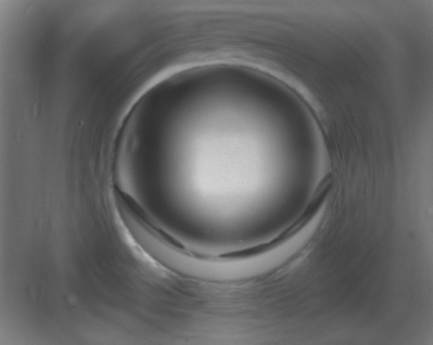 X0000083021534200702091303
