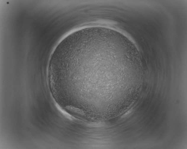 X0000083021535200702091304
