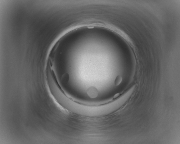 X0000083021536200702091304