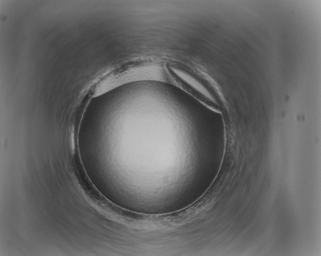 X0000083020020200702161627