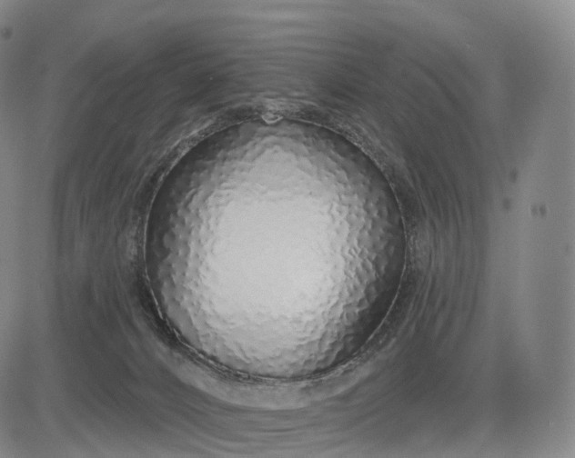 X0000083020032200702161627