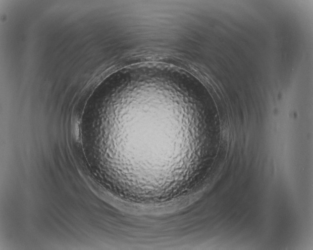 X0000083020046200702161627