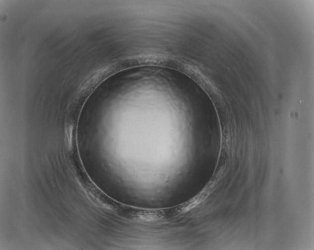 X0000083020070200702161627