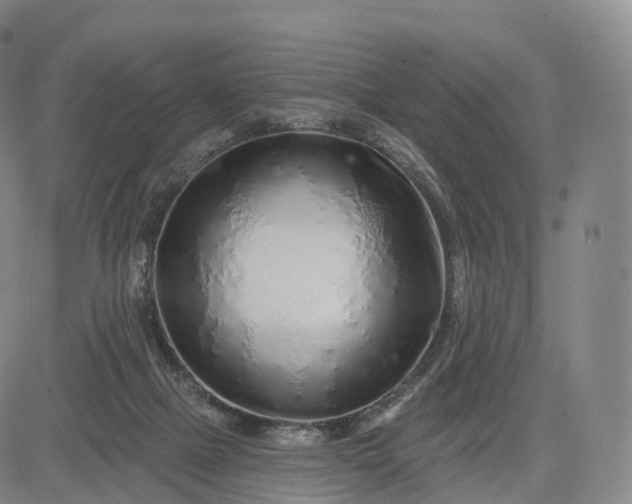 X0000083020073200702161627