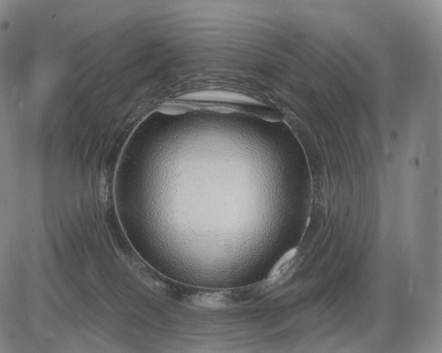 X0000083020086200702161627