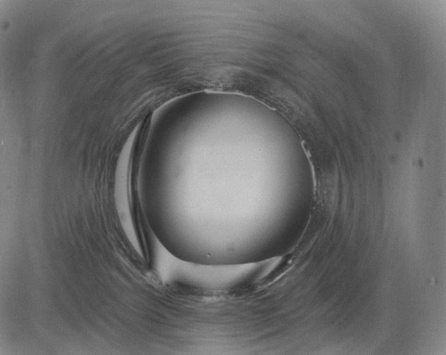 X0000083020092200702161627