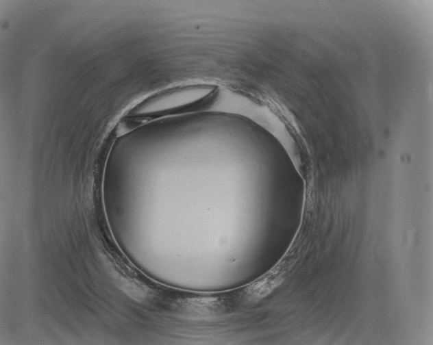 X0000083020108200702161626