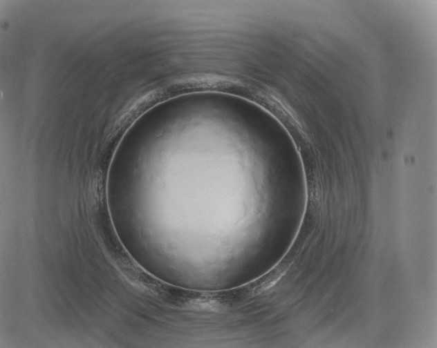 X0000083020119200702161626