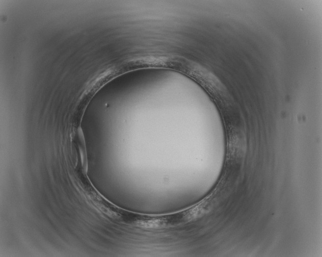 X0000083020120200702161626