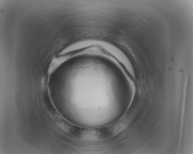 X0000083020123200702161626