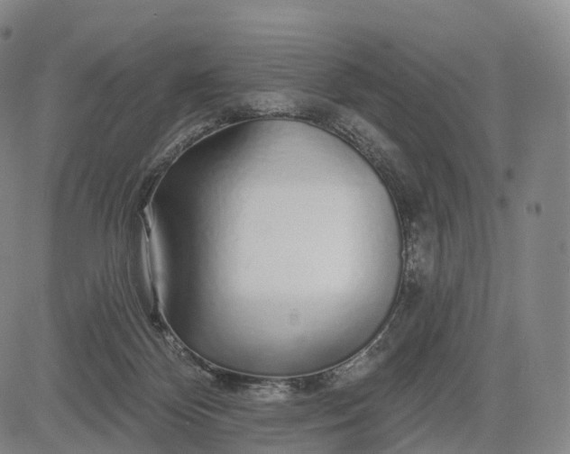 X0000083020124200702161626