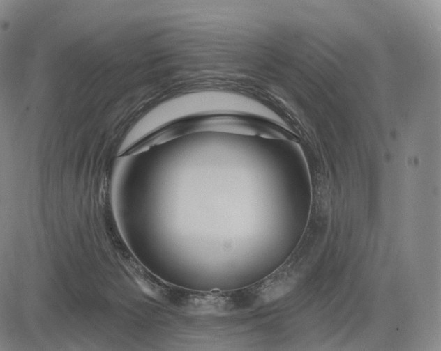 X0000083020125200702161626