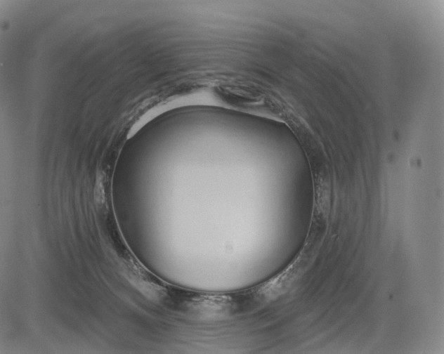 X0000083020128200702161626