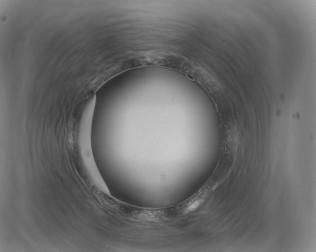 X0000083020129200702161626