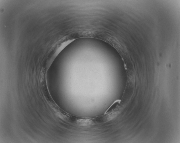 X0000083020133200702161626