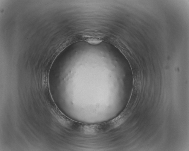 X0000083020134200702161626