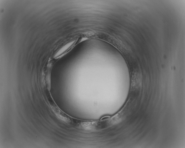 X0000083020136200702161626